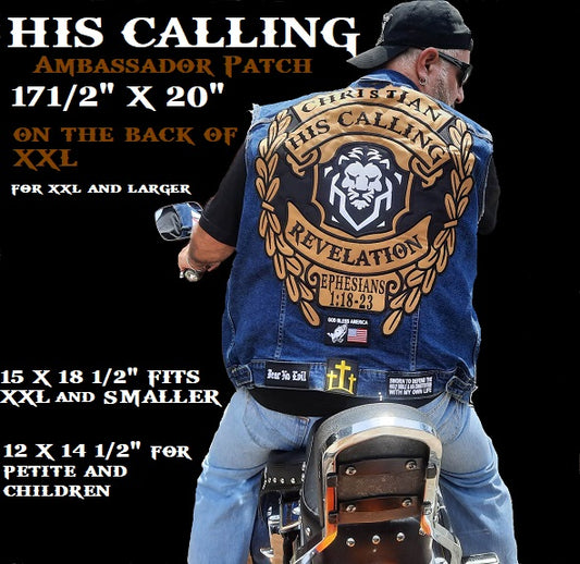 1 Set Gold Ambassador Patch Set